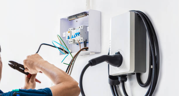 Best Ceiling Fan Installation Electrician  in King Cove, AK